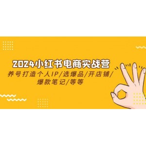 2024小紅書電商精英班：養(yǎng)號塑IP/精選熱銷品/店鋪搭建/筆記爆文打造等全攻略（共24節(jié)）