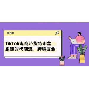 TikTok電商帶貨精英班：把握時代脈搏，跨境開啟財富之旅（8節(jié)課程）